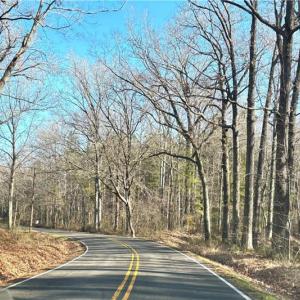Photo #3 of 6628 Blackwater Road, Virginia Beach, Virginia 6.3 acres