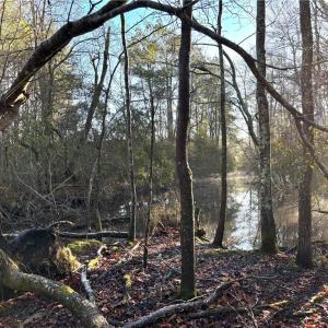 Photo #7 of 3016 New Bridge Road, Virginia Beach, Virginia 1.5 acres