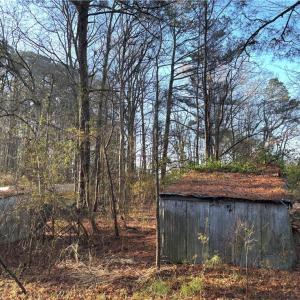 Photo #5 of 3016 New Bridge Road, Virginia Beach, Virginia 1.5 acres
