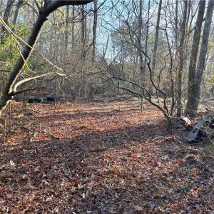 Photo #6 of 3016 New Bridge Road, Virginia Beach, Virginia 1.5 acres