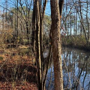 Photo #8 of 3016 New Bridge Road, Virginia Beach, Virginia 1.5 acres