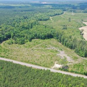 Photo #1 of 20 ac Hollybush Road, Dendron, Virginia 20.0 acres