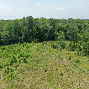 Photo #11 of 20 ac Hollybush Road, Dendron, Virginia 20.0 acres