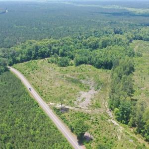 Photo #12 of 20 ac Hollybush Road, Dendron, Virginia 20.0 acres
