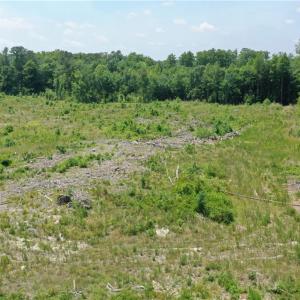 Photo #13 of 20 ac Hollybush Road, Dendron, Virginia 20.0 acres