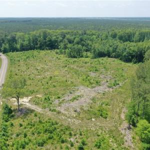 Photo #3 of 20 ac Hollybush Road, Dendron, Virginia 20.0 acres