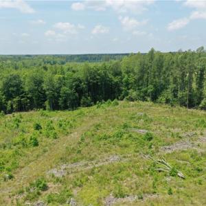 Photo #7 of 20 ac Hollybush Road, Dendron, Virginia 20.0 acres