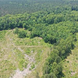 Photo #8 of 20 ac Hollybush Road, Dendron, Virginia 20.0 acres