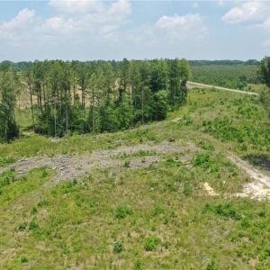 Photo #9 of 20 ac Hollybush Road, Dendron, Virginia 20.0 acres