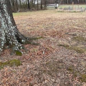 Photo #3 of 1.32ac River Rd and Farm Road, South Boston, Virginia 1.3 acres