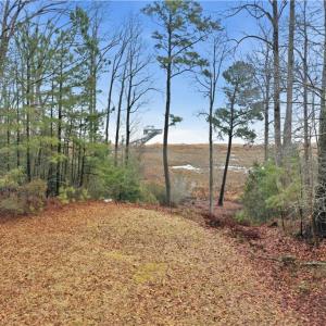 Photo #17 of 5.1+AC High Bluff Lane, Barhamsville, Virginia 7.8 acres