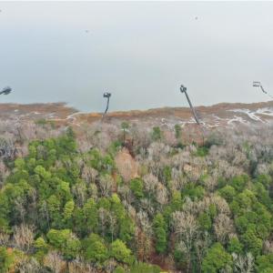 Photo #14 of 5.1+AC High Bluff Lane, Barhamsville, Virginia 7.8 acres