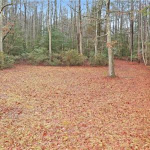 Photo #19 of 5.1+AC High Bluff Lane, Barhamsville, Virginia 7.8 acres