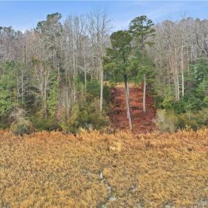Photo #7 of 5.1+AC High Bluff Lane, Barhamsville, Virginia 7.8 acres