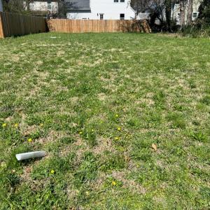 Photo #3 of 733 30th Street, Newport News, Virginia 0.1 acres