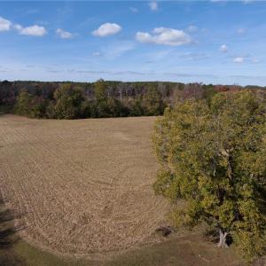 Photo #5 of 15+AC Haven Beach Road, Moon, Virginia 21.2 acres