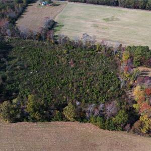 Photo #13 of 15+AC Haven Beach Road, Moon, Virginia 21.2 acres