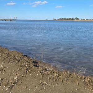 Photo #19 of 15+AC Haven Beach Road, Moon, Virginia 21.2 acres