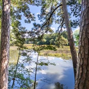 Photo #3 of 42 Scufflefield Road, Newport News, Virginia 2.1 acres