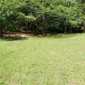 Photo #7 of 42 Scufflefield Road, Newport News, Virginia 2.1 acres