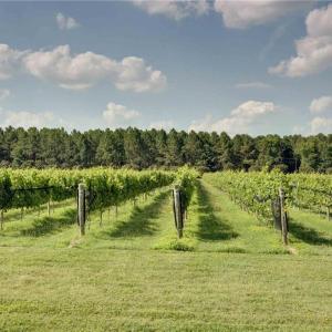 Photo #39 of 2412 Reserve Drive, Williamsburg, Virginia 1.3 acres