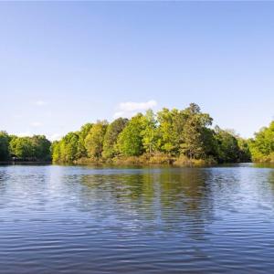 Photo #41 of 2412 Reserve Drive, Williamsburg, Virginia 1.3 acres