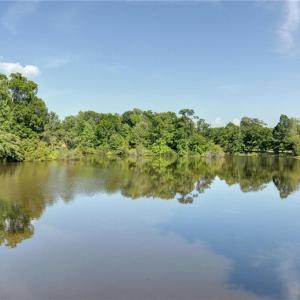 Photo #46 of 2412 Reserve Drive, Williamsburg, Virginia 1.3 acres