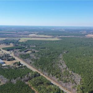 Photo #8 of 25+AC Holland Road, Suffolk, Virginia 36.8 acres