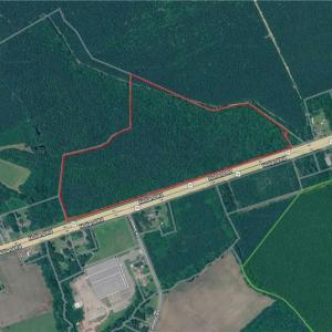 Photo #5 of 25+AC Holland Road, Suffolk, Virginia 36.8 acres