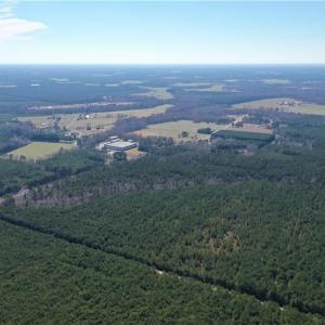 Photo #9 of 25+AC Holland Road, Suffolk, Virginia 36.8 acres
