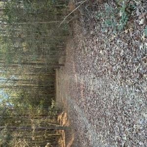 Photo #2 of Horse Run Road, Gloucester, Virginia 5.0 acres
