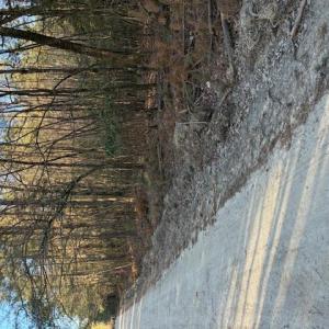 Photo #4 of Horse Run Road, Gloucester, Virginia 5.0 acres