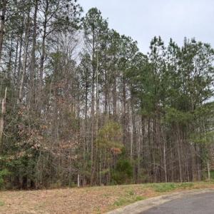 Photo #4 of 11794 Red Cross Bill Way, Providence Forge, Virginia 0.7 acres