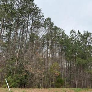 Photo #2 of 11794 Red Cross Bill Way, Providence Forge, Virginia 0.7 acres