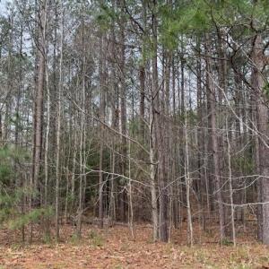 Photo #3 of 11794 Red Cross Bill Way, Providence Forge, Virginia 0.7 acres