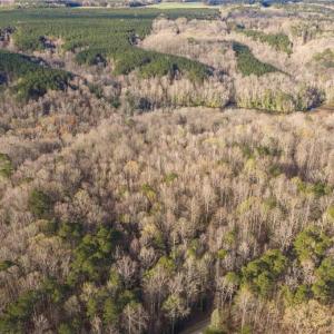 Photo #4 of 12+AC Jusdan Lane, Gloucester, Virginia 12.7 acres