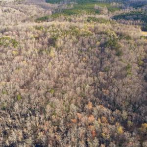 Photo #7 of 12+AC Jusdan Lane, Gloucester, Virginia 12.7 acres