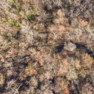 Photo #8 of 12+AC Jusdan Lane, Gloucester, Virginia 12.7 acres