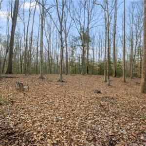 Photo #9 of 12+AC Jusdan Lane, Gloucester, Virginia 12.7 acres