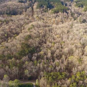 Photo #10 of 12+AC Jusdan Lane, Gloucester, Virginia 12.7 acres