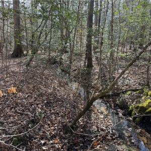 Photo #5 of 1A Carter Hill Street, Gloucester, Virginia 14.5 acres