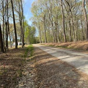 Photo #2 of 5.2 AC Princess Anne, Virginia Beach, Virginia 5.3 acres