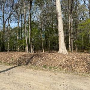 Photo #5 of 5.2 AC Princess Anne, Virginia Beach, Virginia 5.3 acres