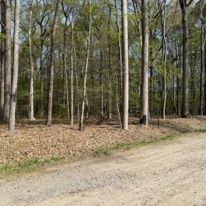 Photo #6 of 5.2 AC Princess Anne, Virginia Beach, Virginia 5.3 acres
