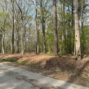 Photo #2 of 5.2 AC Princess Anne, Virginia Beach, Virginia 5.3 acres