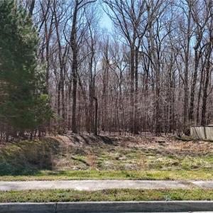 Photo #12 of 115 Christophers Lane, Hampton, Virginia 1.7 acres
