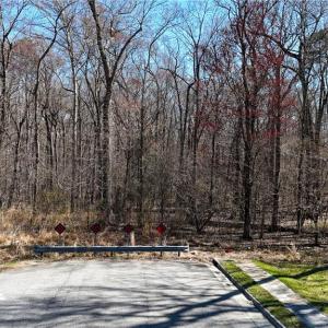 Photo #6 of 115 Christophers Lane, Hampton, Virginia 1.7 acres