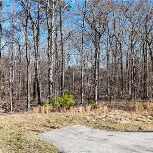 Photo #7 of 115 Christophers Lane, Hampton, Virginia 1.7 acres