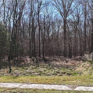 Photo #10 of 115 Christophers Lane, Hampton, Virginia 1.7 acres