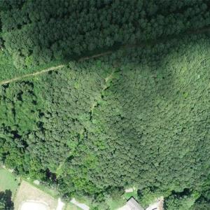 Photo #4 of 6664 Blackwater Road, Virginia Beach, Virginia 9.7 acres